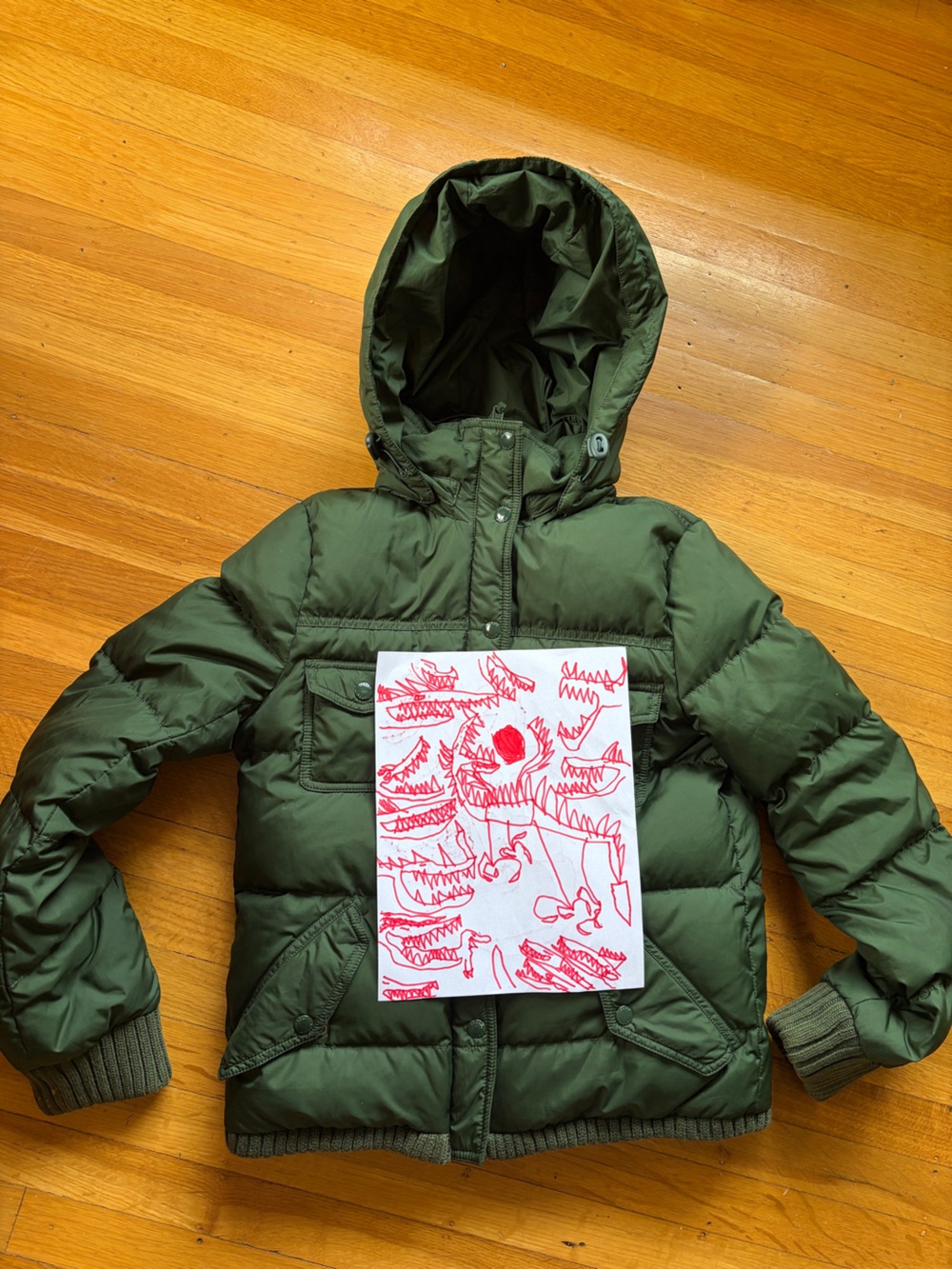 J. Crew vintage goosedown parka jacket puffer detachable hood forest green S fuz